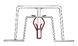 Fascia